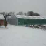 sous-la-neige3