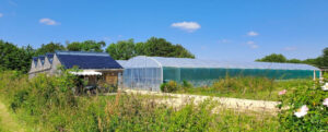 ferme printemps2024-1240x500 La ferme de la spiruline de Rospico
