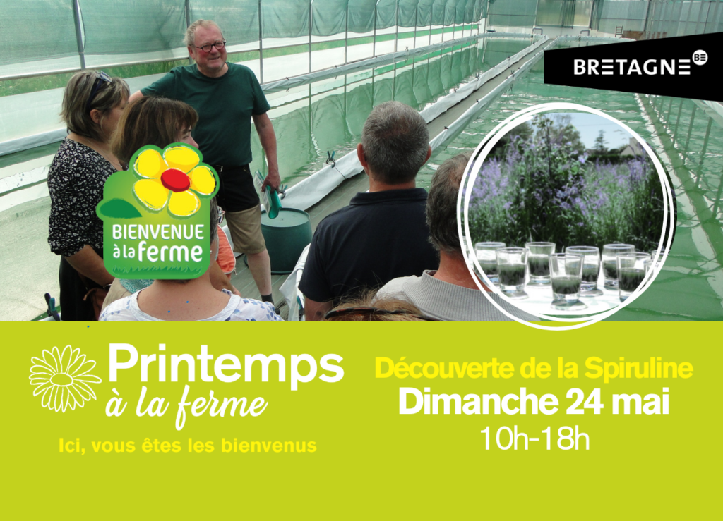 A la découverte de la spiruline