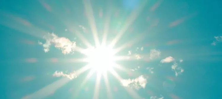 canicule