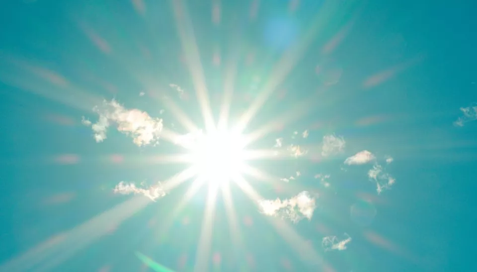 canicule